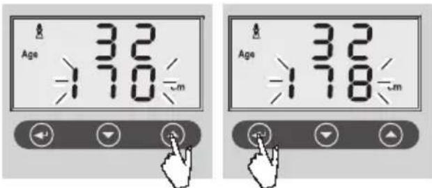 SOEHNLE Volga - Veri girişi - 5