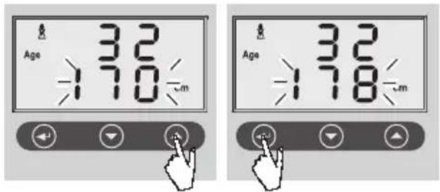 SOEHNLE Volga - Preparation - 11