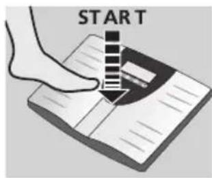 SOEHNLE Volga - Kehonanalyysi - 1