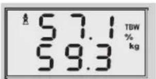 SOEHNLE Volga - Analisi del corpo - 7