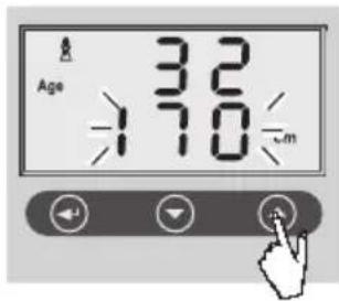 SOEHNLE Volga - Inskrivning av data - 9