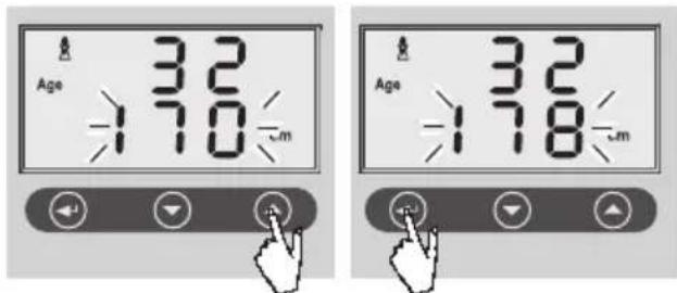 SOEHNLE Volga - Tietosyöttö - 5