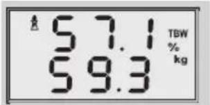 SOEHNLE Volga - Body monitoring - 7