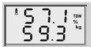 SOEHNLE Volga - Kehonanalyysi - 7