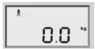 SOEHNLE Volga - Telesna analiza - 4