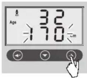 SOEHNLE Volga - Entrada de datos - 9