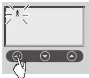 SOEHNLE Volga - BbOД daHHbIX - 6