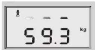 SOEHNLE Volga - Body monitoring - 5