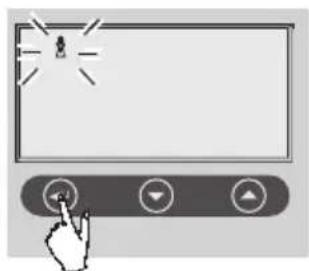 SOEHNLE Volga - Entrada de datos - 6