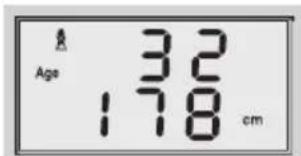 SOEHNLE Volga - Analisi del corpo - 3