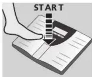 SOEHNLE Volga - Body monitoring - 1