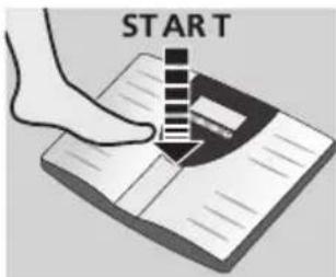 SOEHNLE Volga - Analiza ciasta - 1