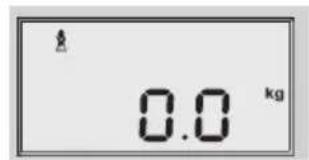 SOEHNLE Volga - Analyse nur barfuß möglich. Persönliche Daten müssen vorher eingebehen sein (S.5). - 4