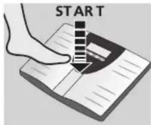 SOEHNLE Volga - Telesna analiza - 1