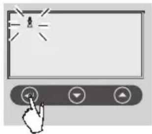 SOEHNLE Volga - Dateneingabe - 6