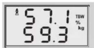 SOEHNLE Volga - Kropsanalyse - 7