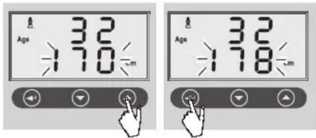 SOEHNLE Volga - Introdução de dados - 5