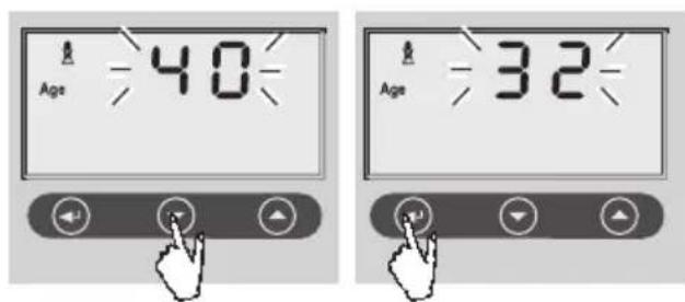 SOEHNLE Volga - Introdução de dados - 4