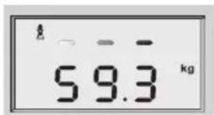 SOEHNLE Volga - Telesna analiza - 5