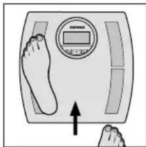 SOEHNLE Shape F4 - Inskrivning av data - 8