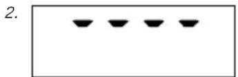 SOEHNLE Shape F4 - Meldungen - 2
