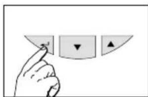 SOEHNLE Shape F4 - Inskrivning av data - 2