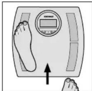 SOEHNLE Shape F4 - Niveau d'activité - 8