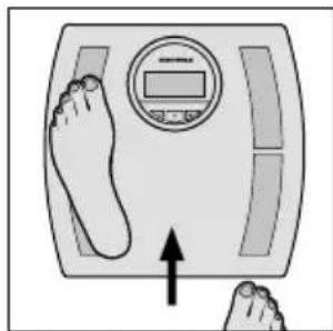 SOEHNLE Shape F4 - Entrada de datos - 8