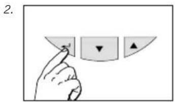 SOEHNLE Shape F4 - Activity level - 1