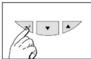 SOEHNLE Shape F4 - Entrada de datos - 2