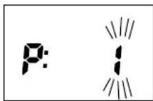 SOEHNLE Shape F4 - Grado di attività - 2