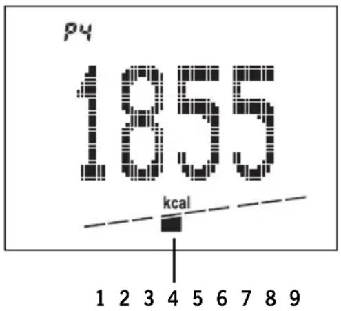 SOEHNLE Body Balance Slim FT5 - Voorbeeld: - 1
