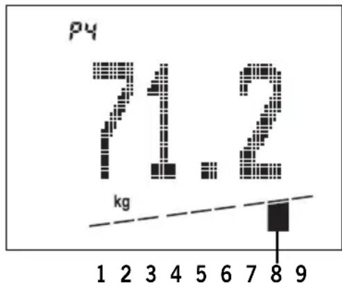 SOEHNLE Body Balance Slim FT5 - Özel tavsiye - 1