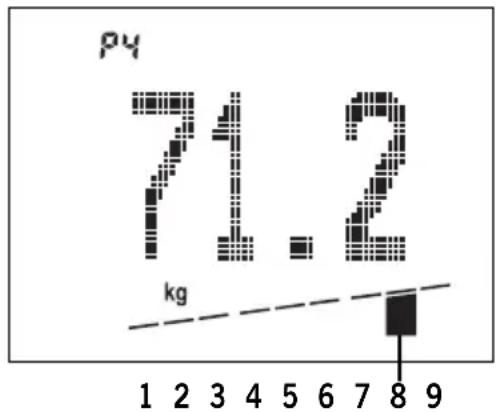 SOEHNLE Body Balance Slim FT5 - Individuele aanbeveling - 1