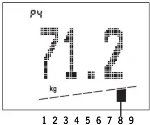SOEHNLE Body Balance Slim FT5 - Italiano - 8