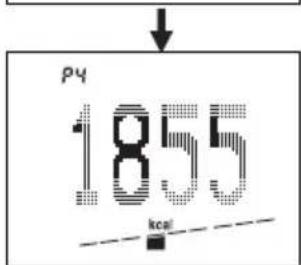 SOEHNLE Body Balance Slim FT5 - Kroppsanalys - 6