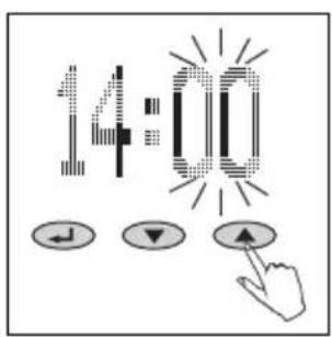 SOEHNLE Body Balance Slim FT5 - Français - 6