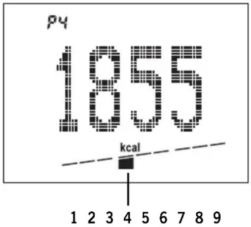 SOEHNLE Body Balance Slim FT5 - Example: - 1