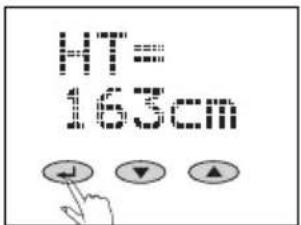 SOEHNLE Body Balance Slim FT5 - Voorbereiding - 8