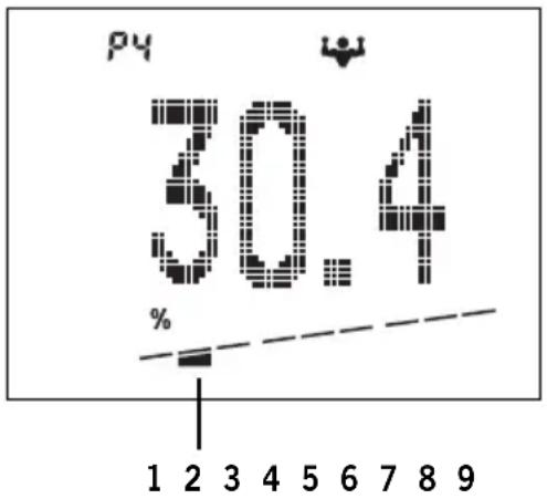 SOEHNLE Body Balance Slim FT5 - Kas orani - 1