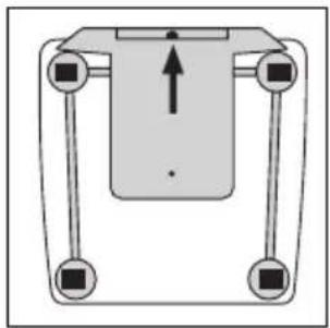 SOEHNLE Body Balance Slim FT5 - Curva semanal (week) significa: - 5