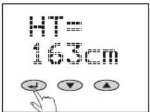 SOEHNLE Body Balance Slim FT5 - Priprava - 8