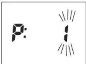 SOEHNLE Body Balance Shape F3 - Adatok bevitele - 3