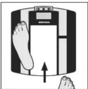 SOEHNLE Body Balance Shape F3 - Dateneingabe - 7