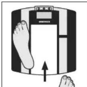 SOEHNLE Body Balance Shape F3 - Eioaywyn 8eouevwv - 7