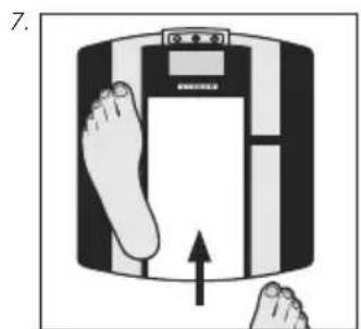 SOEHNLE Body Balance Shape F3 - Gegevensinvoer - 6