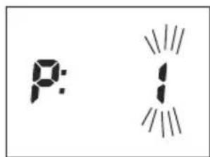 SOEHNLE Body Balance Shape F3 - Introdução de dados - 3