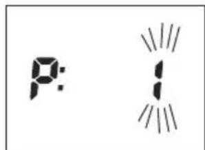 SOEHNLE Body Balance Shape F3 - Datainlaesning - 3