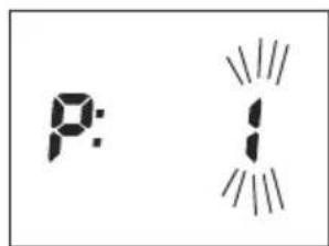 SOEHNLE Body Balance Shape F3 - Karta gwarancyjna - 2