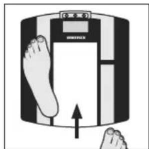 SOEHNLE Body Balance Shape F3 - Tiedonsyöttö - 7